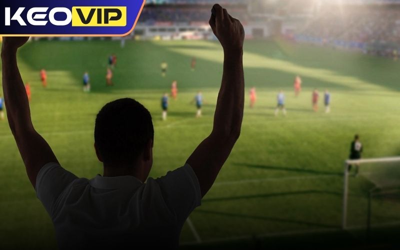 Tips bóng đá là gì?