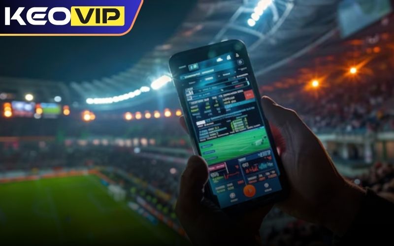 Tìm hiểu kỹ về chuyên gia cung cấp Tips bóng đá