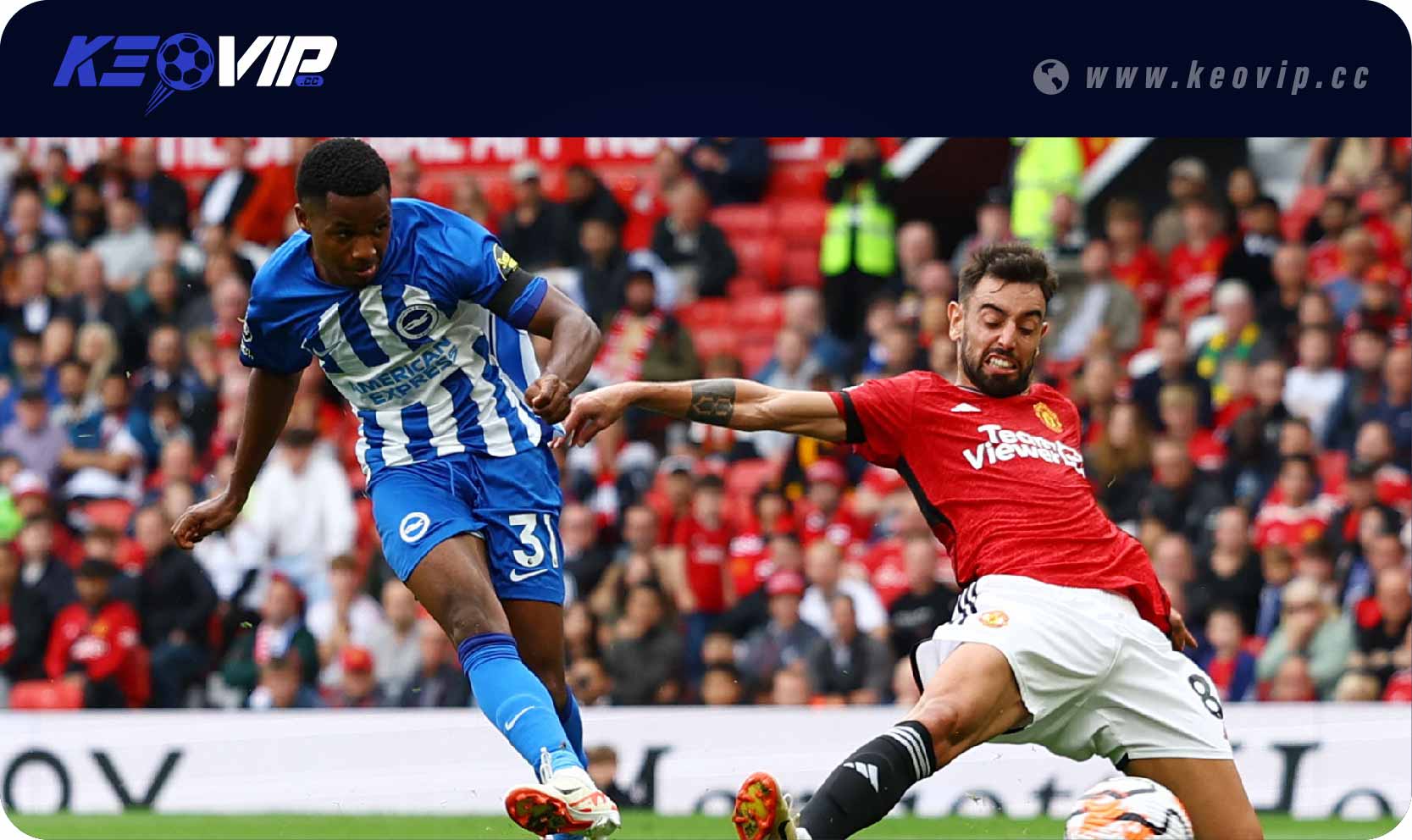 Soi kèo châu Âu Brighton vs Man Utd (1x2)