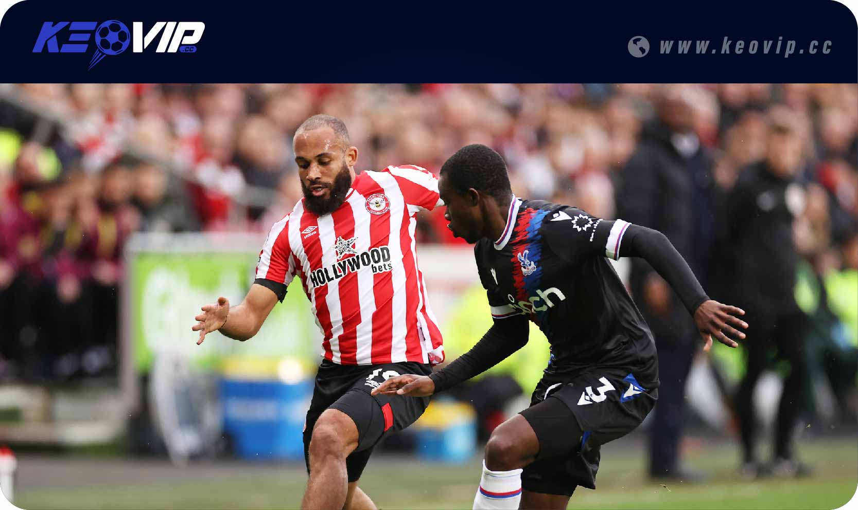 Soi kèo châu Âu Brentford vs Crystal Palace