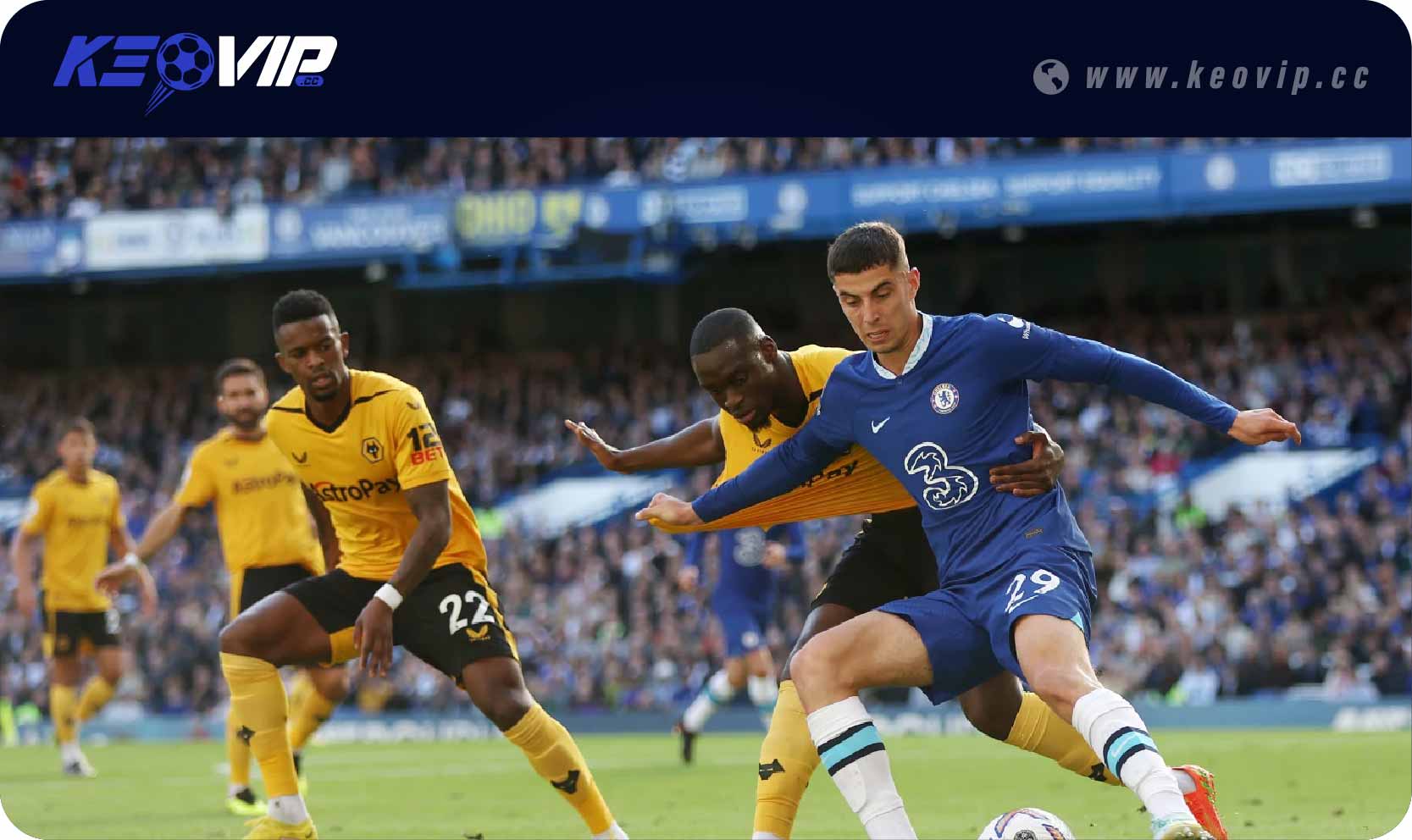 Soi kèo châu Á Wolves vs Chelsea (Handicap)
