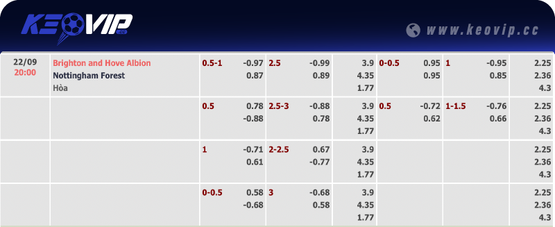 Bảng tỷ lệ kèo Brighton vs Nottingham 20h00 ngày 22/09/2024