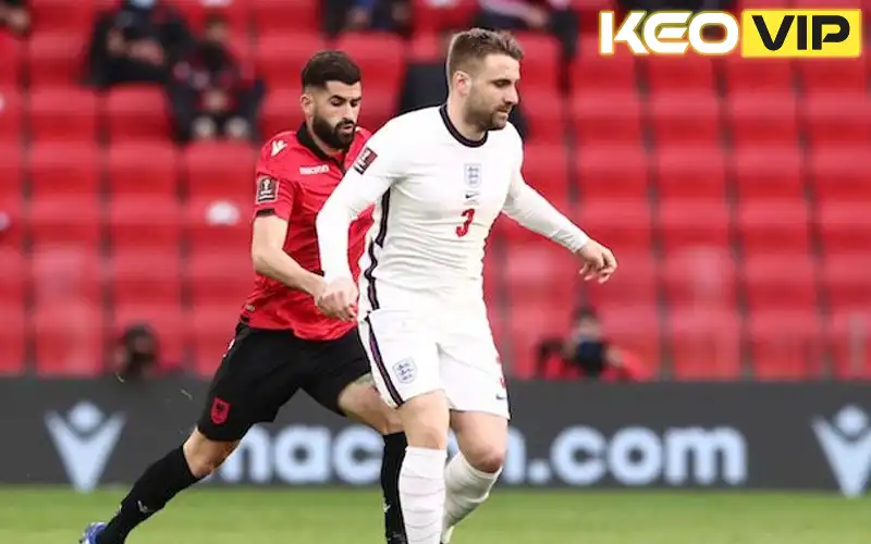 Tổng quan trận đấu