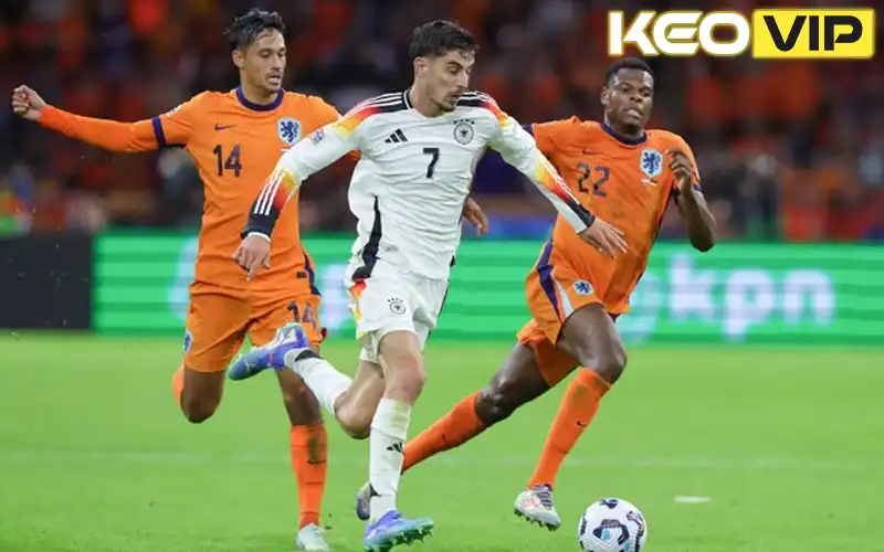 Tổng quan trận đấu