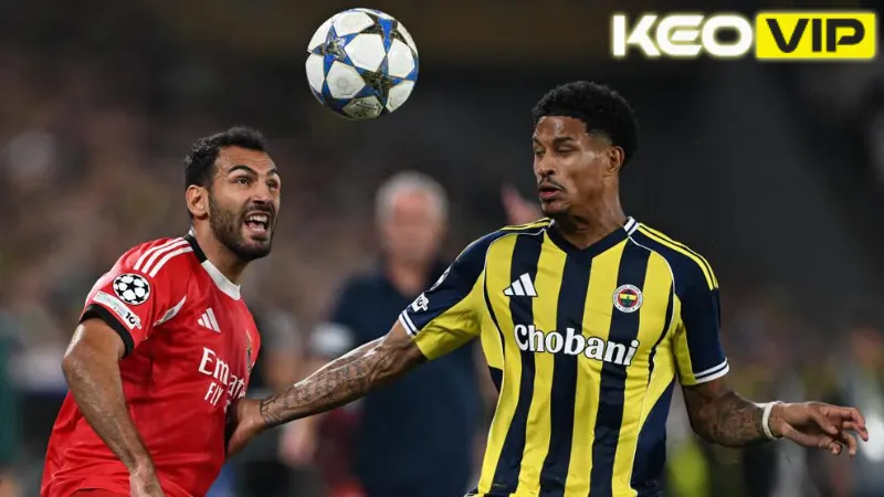 Đánh giá phong độ của Benfica vs Fenerbahce