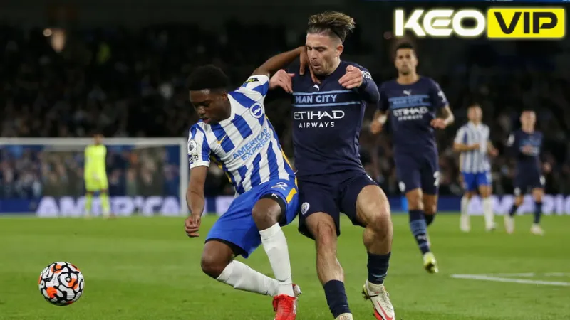 Đánh giá phong độ và cơ hội của Brighton vs Manchester City