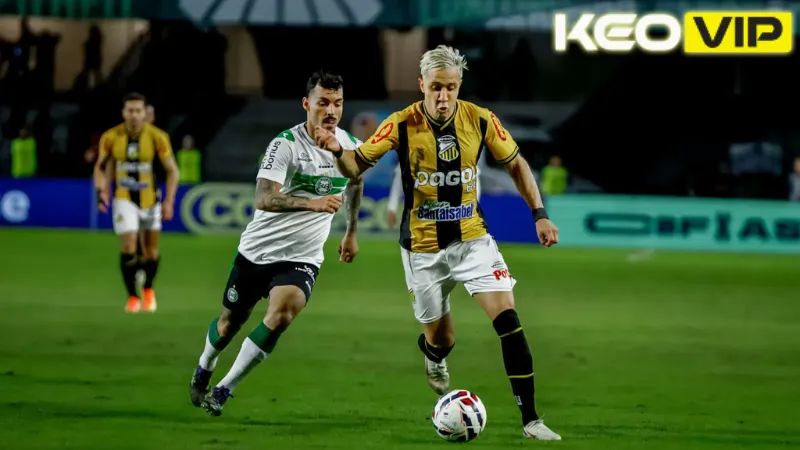 Phong độ gần đây và cơ hội của Novorizontino vs Coritiba