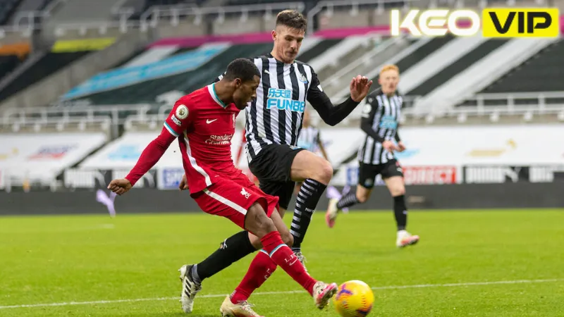 Phong độ gần đây và cơ hội của Newcastle vs Liverpool