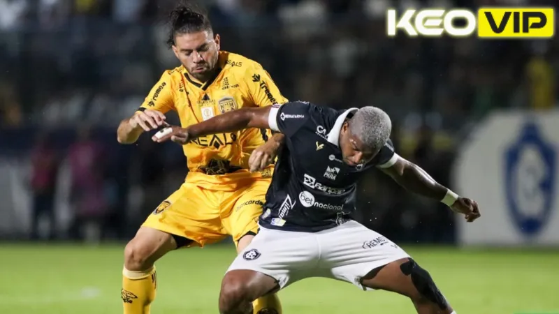 Đánh giá phong độ trước trận của Amazonas vs Clube Do Remo