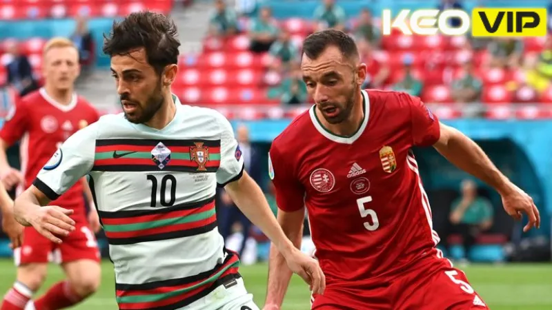 Nhận định phong độ gần đây của Hungary vs Bồ Đào Nha